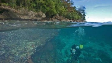 'Underwater Photo Competition', Tawarkan Hadiah Rp150 Juta