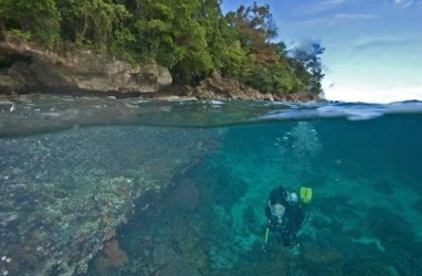 'Underwater Photo Competition', Tawarkan Hadiah Rp150 Juta