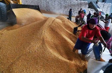 Ini Penyebab Polemik Impor di Negeri Lumbung Jagung