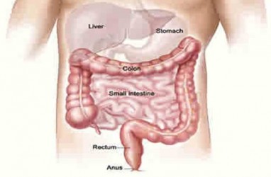Penyebab dan Cara Mengatasi Sembelit