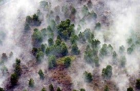 Riau Tetapkan Siaga Darurat Karhutla Hingga 31 Oktober 2019