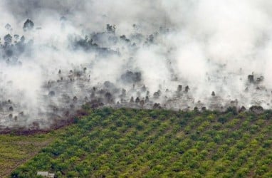 Karhutla: Gubernur Riau Wan Thamrin Sebut Udara Dumai Agak Gawat