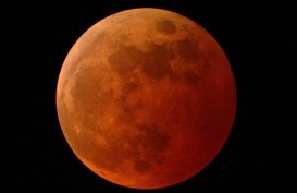 Super Snow Moon Malam Ini: Saat Bulan Purnama Lebih Terang, Lebih Besar dan Lebih Dekat ke Bumi