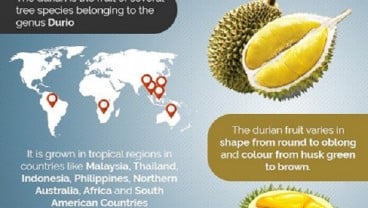 Ini 9 Manfaat Durian, Salah Satunya Turunkan Risiko Depresi