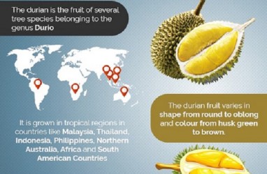 Ini 9 Manfaat Durian, Salah Satunya Turunkan Risiko Depresi