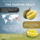 Ini 9 Manfaat Durian, Salah Satunya Turunkan Risiko Depresi