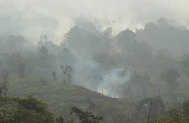 Lahan Terbakar di Riau Lebih 919,41 Hektare