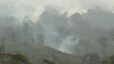 Lahan Terbakar di Riau Lebih 919,41 Hektare