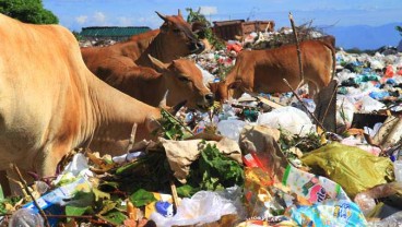 Gianyar Hadapi Problem Timbunan Tempat Pembuangan Akhir