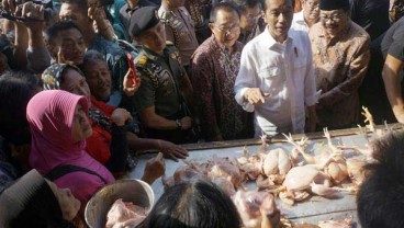 Pinsar Keluhkan Harga Daging Ayam Terus Turun