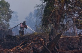 Gubernur Riau Pimpin Rapat Penanganan Karlahut