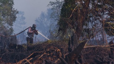 Gubernur Riau Pimpin Rapat Penanganan Karlahut