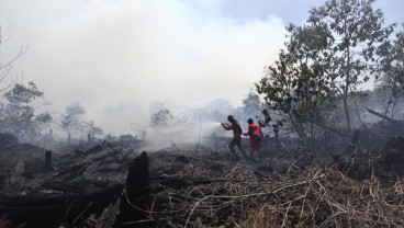 Polda Riau Tahan 6 Tersangka Pembakar Lahan