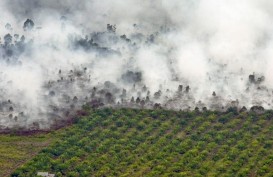 Anggaran Penanggulangan Kebakaran Hutan & Lahan Menurun