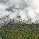 Anggaran Penanggulangan Kebakaran Hutan & Lahan Menurun