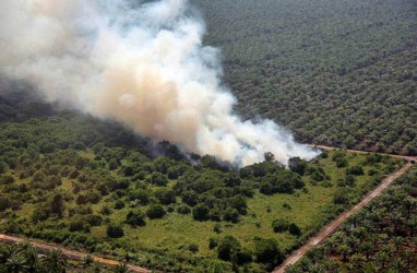 Kementerian LHK Temukan Lahan Chevron di Dumai Terbakar