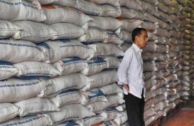 KOMODITAS PANGAN : 1,65 Juta Ton Beras Terancam Terbuang