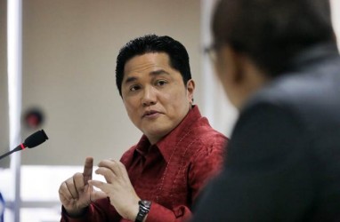 Erick Thohir Klaim Lahan Miliknya Bersih dan Halal