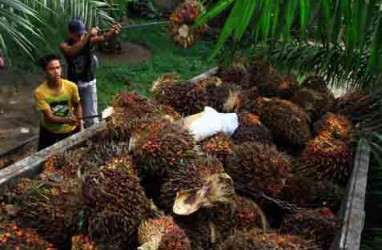 KINERJA 2018 : Harga CPO Lemah, Laba London Sumatra (LSIP) Turun 54 Persen