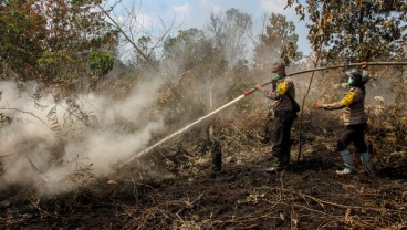 Lahan Gambut 102.092 Hektare di Sumsel Rusak