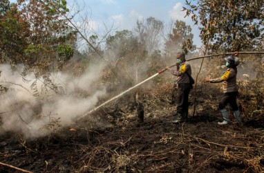 Lahan Gambut 102.092 Hektare di Sumsel Rusak