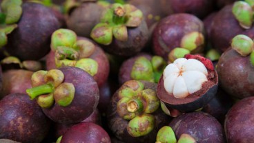 Harga Manggis di Pasar Buah Kendari Naik 10 Persen