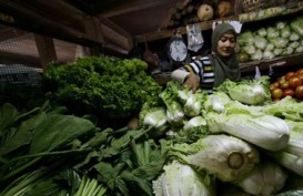 Harga Sayur dari Luar Daerah di Ambon Bergerak Turun