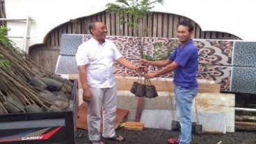 PT Sekawan Sumber Sejahtera Prakarsai Program Pengelolaan Sengon di Jateng