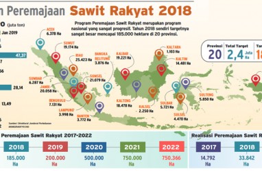 Pungutan Ekspor CPO Ditunda, Bagaimana Nasib Replanting Sawit?