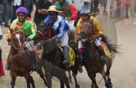 Aceh Tengah Siap Bangun Pacuan Kuda Standar Nasional