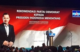 Dukungan Kader Demokrat ke Jokowi tidak Nendang