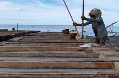 Produksi Garam NTB Dipatok Capai 180.000 Ton