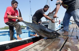 Ekspor Perikanan Maluku ke Jepang Dimudahkan