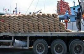 Indonesia Ekspor Semen Hingga Afrika