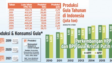 HPP Gula Dinaikkan Bulan Ini, Besarannya Digiling Tim Independen