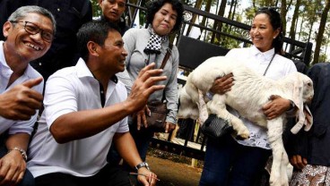 Izin Perhutanan Sosial Terealisasi 2,56 Juta Hektare