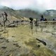 CAGAR ALAM : KLHK Akan Kaji Wacan Penangguhan Perubahan Status Gunung Papandayan