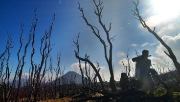 Masyarakat Tolak Perubahan Status Cagar Alam Kaojang dan Papandayan