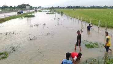 Sisi Lain Banjir Madiun, Warga Jaring Ikan di Samping Tol