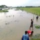 Sisi Lain Banjir Madiun, Warga Jaring Ikan di Samping Tol