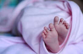 Mayat Bayi Laki-Laki dalam Kantong Plastik Ditemukan di Pondok Aren