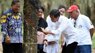 Dongkrak Harga, Jokowi Minta Karet Dipakai Campuran Aspal Seluruh Indonesia