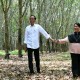 Malam Minggu, Jokowi Posting Foto Romantis Bersama Iriana