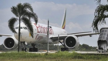 Seorang WNI Jadi Korban Jatuhnya Pesawat Ethiopian Airlines