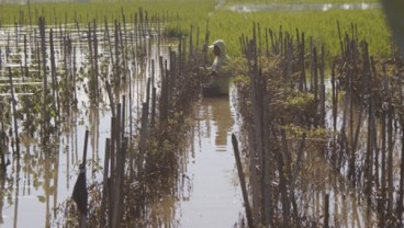 Banjir Tulungagung, Petani Merugi Lebih dari Rp5 Miliar