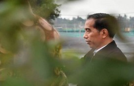 Presiden Jokowi Kunker ke Riau, Ini Agendanya