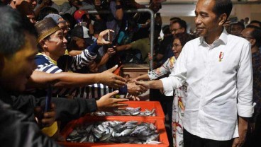 5 Fakta Pasar Ikan Muara Baru Seperti Impian Jokowi