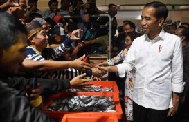 5 Fakta Pasar Ikan Muara Baru Seperti Impian Jokowi