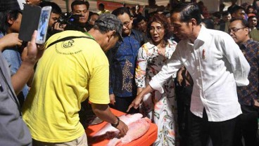 Perum Perindo Siapa Kelola Pasar Ikan Muara Baru