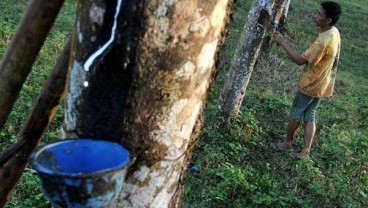 Produksi Industri China Melambat, Harga Karet Lesu 